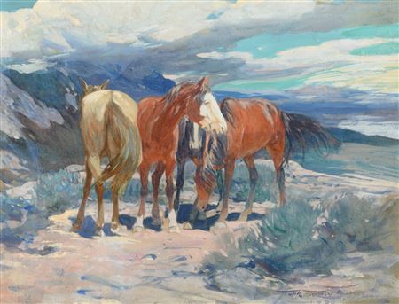 Wild Horses (1920)