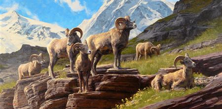 Rocky Mountain Splendor