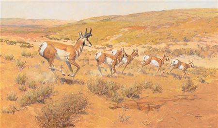 Antelope Running (2000) by Joe Ferrara - Auction record, sale price, and art valuation. Compare with similar artists and explore comparable artworks.