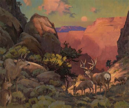 Last Light in Canyon Passage – Southwest Mule Deer by Kenn Erroll Backhaus - Auction record, sale price, and art valuation. Compare with similar artists and explore comparable artworks.