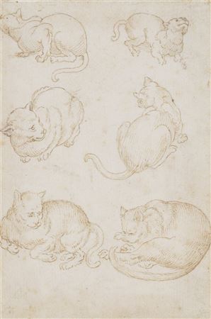 Study of Six Cats (recto); Study of a Nude Figure and a Horse (verso)