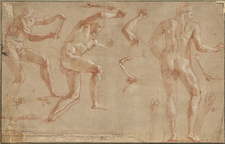 Anatomy study for Hercules landing on the island of Cos and wounded by Chacodon