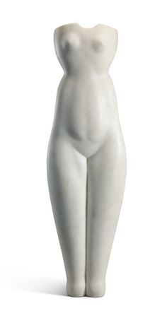 Symmetrical Torso