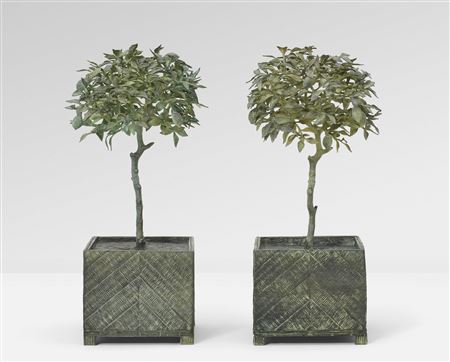 Pair of 'Lemon Trees', 2024