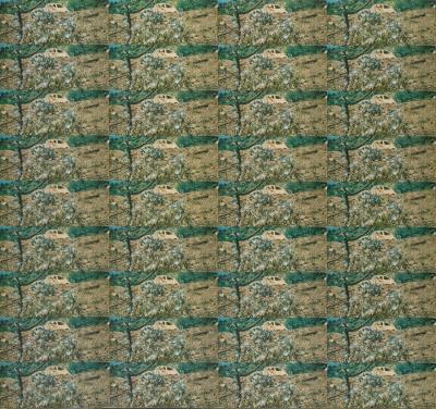 Untitled (FO-44)