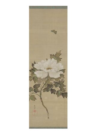 PEONY AND BUTTERFLY