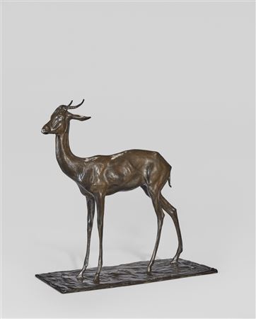 Gazelle