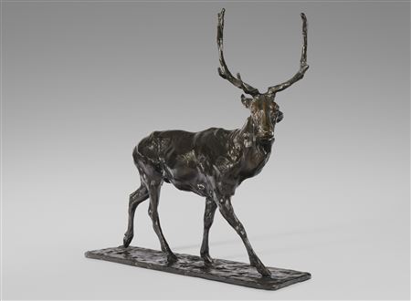 Stag Walking
