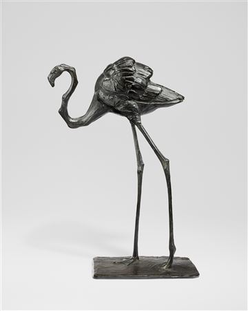 Flamant en marche