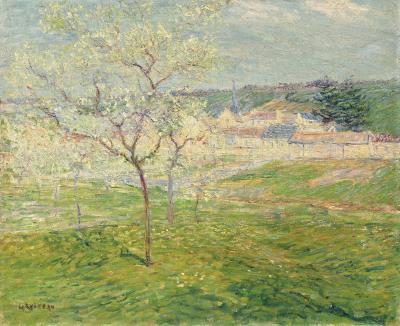 Verger au Printemps