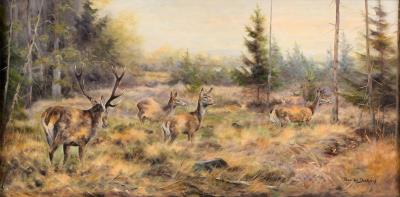 Forest Clearing with Herd of Deer