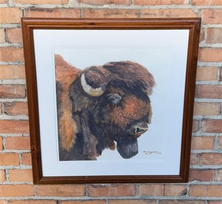 Buffalo Watercolor Painting