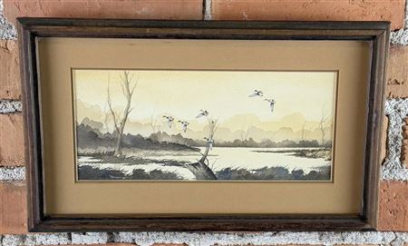 Ducks Landing