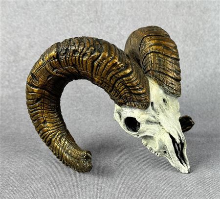 Big Horn Sheep Bronze