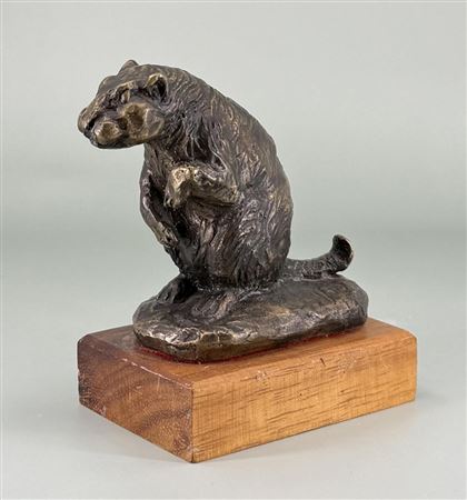 Montana Beaver