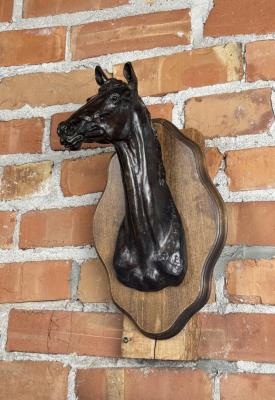 Horse Head
