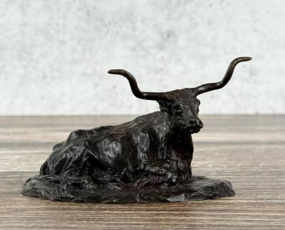 Steer