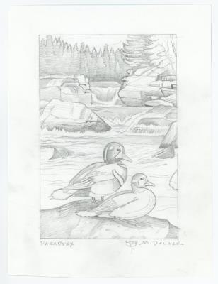 Pencil Sketch Study Paraduxx