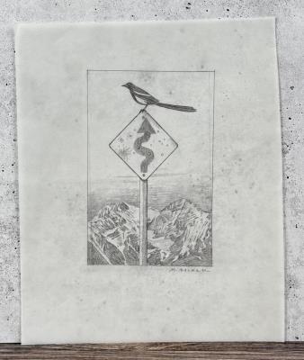 Magpie Study