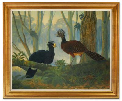 A Pair of Birds in a Woodland