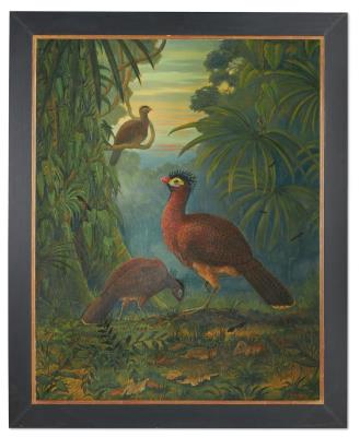 Nothocrax Urumutum by Nigel Hughes - Auction record, sale price, and art valuation. Compare with similar artists and explore comparable artworks.