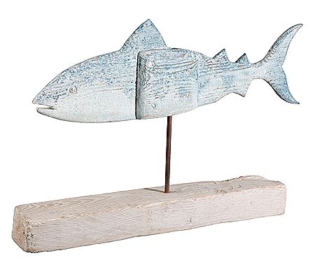 Shark