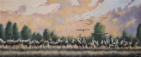 "Cranes feeding ground", 2025