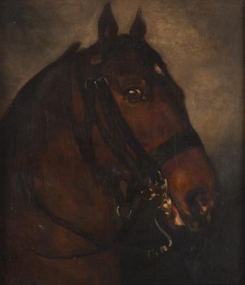 Head of a Horse