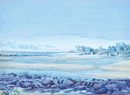 Darwin, 1950