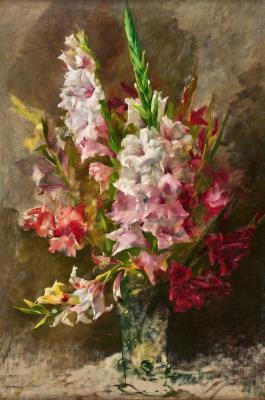 Gladioli