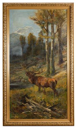 Bellowing Stag at the Forest Edge