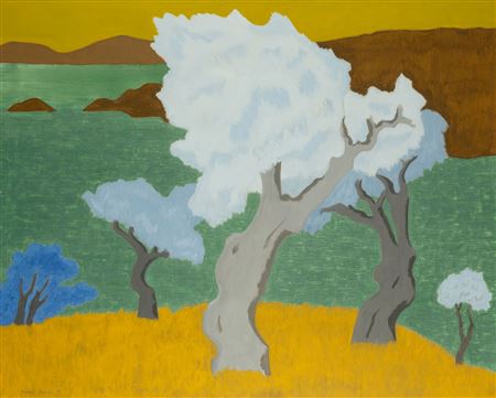 Turkish Silvertrees (Gulluk), 1981