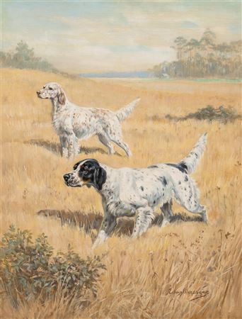 The English Setter