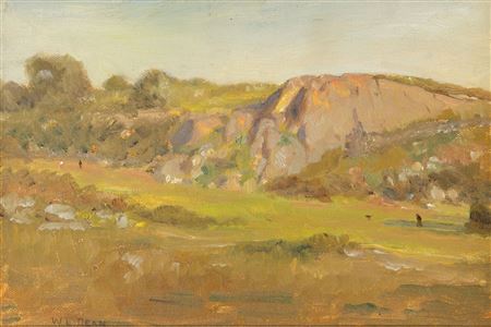 Rocky Landscape