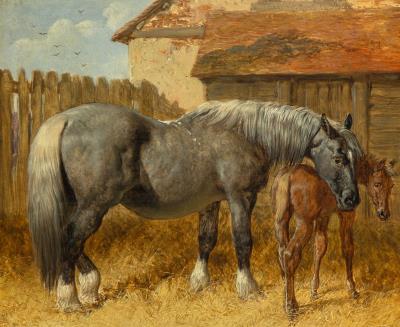 Cart Mare and Foal