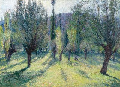 Soleil à Travers Les Peupliers