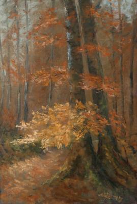 A Path Through the Woods