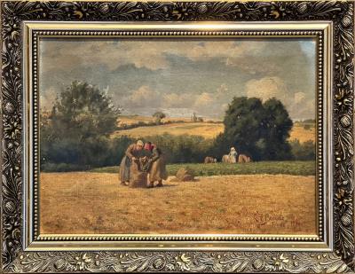 Picking Beans in France