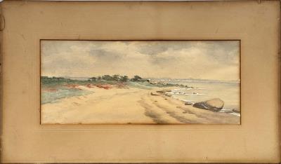 Shoreline View