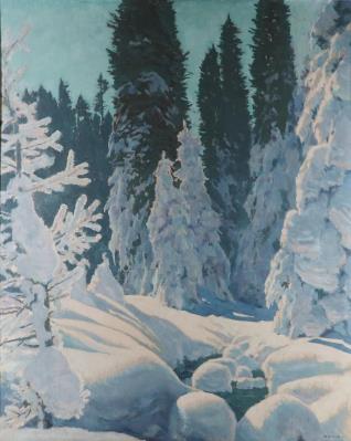 Sunny Winter Forest