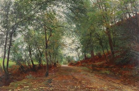 Light-flooded Forest Path