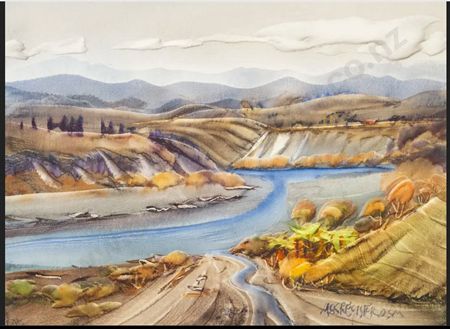 Logs Along the Manawatu River