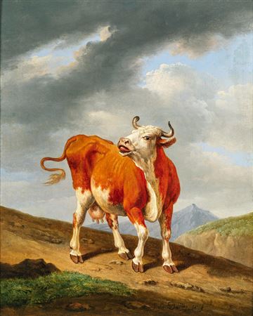 Eine Kuh auf dem Berg