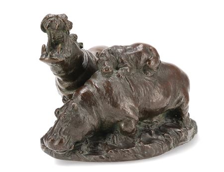 Hippopotamus family