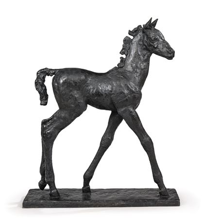 Tall Thoroughbred Foal