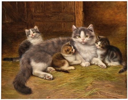 Cat love