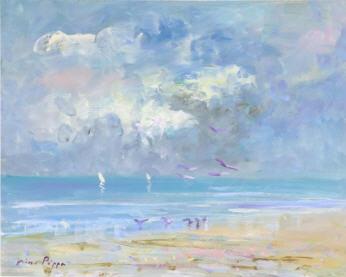 Southern Florida Sailboats and Seagulls