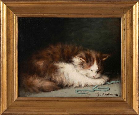 A sleeping cat.