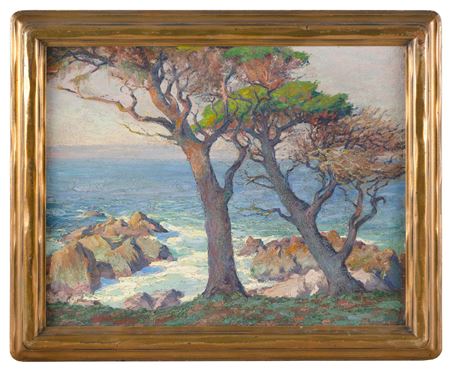 "Monterey Cypress" or "California Coast".