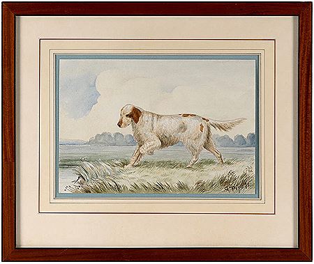 "Llewellyn Setter".